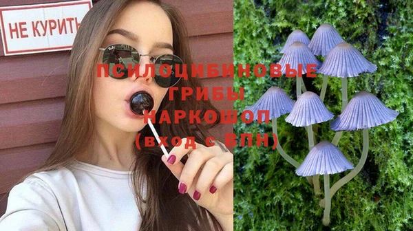 сатива Нягань